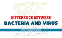 DIFFERENCE BETWEEN BACTERIA AND VIRUS