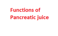 Functions of pancreatic juice